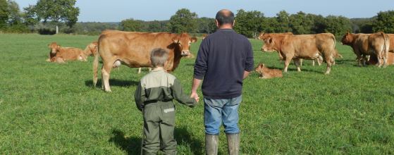 Un agriculteur et un jeune en cote de travail discutent avec leurs vaches.