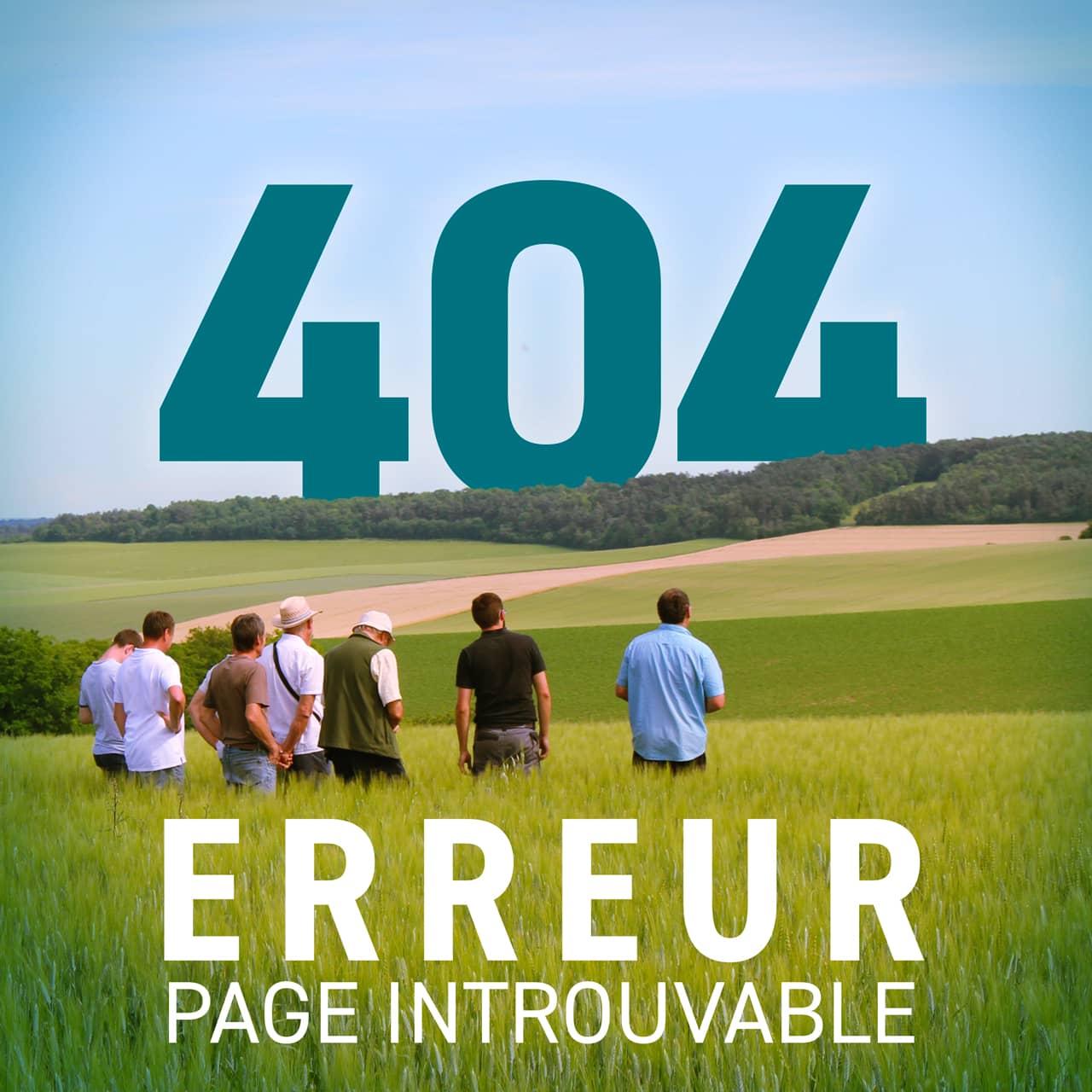 Visuel de la page 404 avec des agriculteurs dans u nchamp regardant un grand "404"